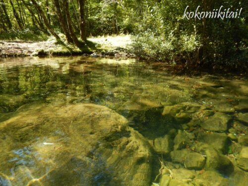 おんたけ自然湖、王滝村、カヌー