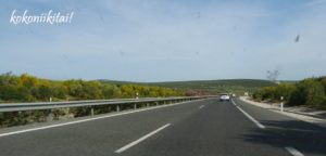 スペイン、高速道路、オリーブ畑
