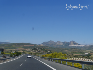 スペイン 高速道路