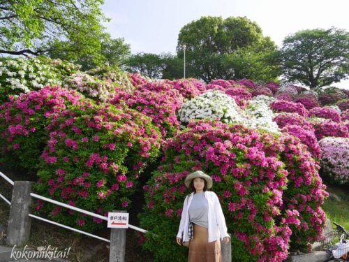 広島・呉の絶景行楽スポット、ツツジの名所・音戸の瀬戸公園