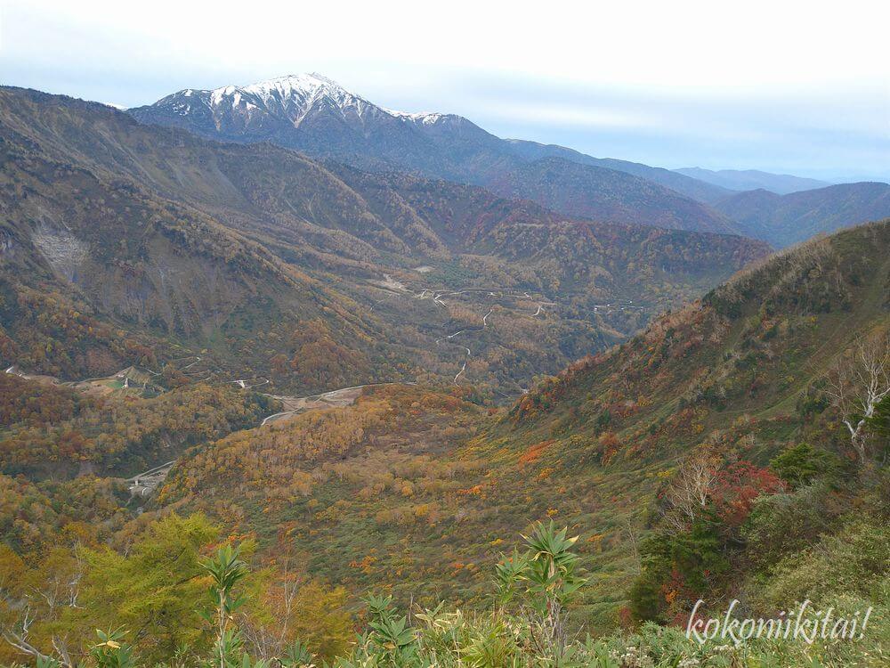 立山カルデラ展望台の眺め眺望景色、紅葉