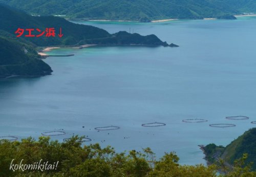 奄美大島宇検村観光スポット峰田山公園の展望台景色、タエン浜