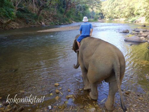 タイで象乗りタイエレファントホーム象乗り象使い体験