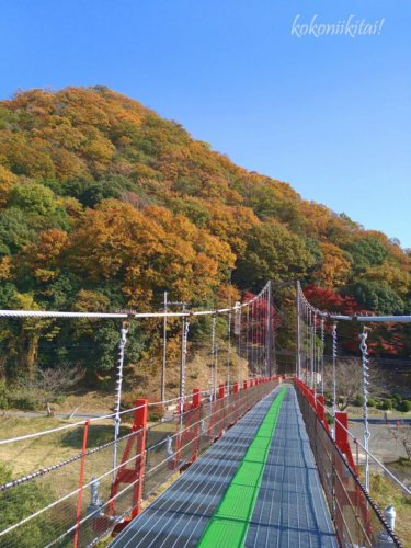 兵庫県たつの市東山公園の吊り橋