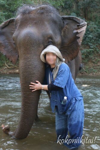 タイで象乗りタイエレファントホーム象乗り象使い体験