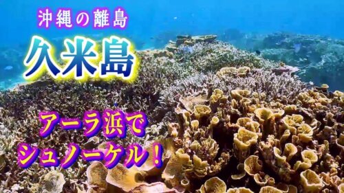 アーラ浜シュノーケル