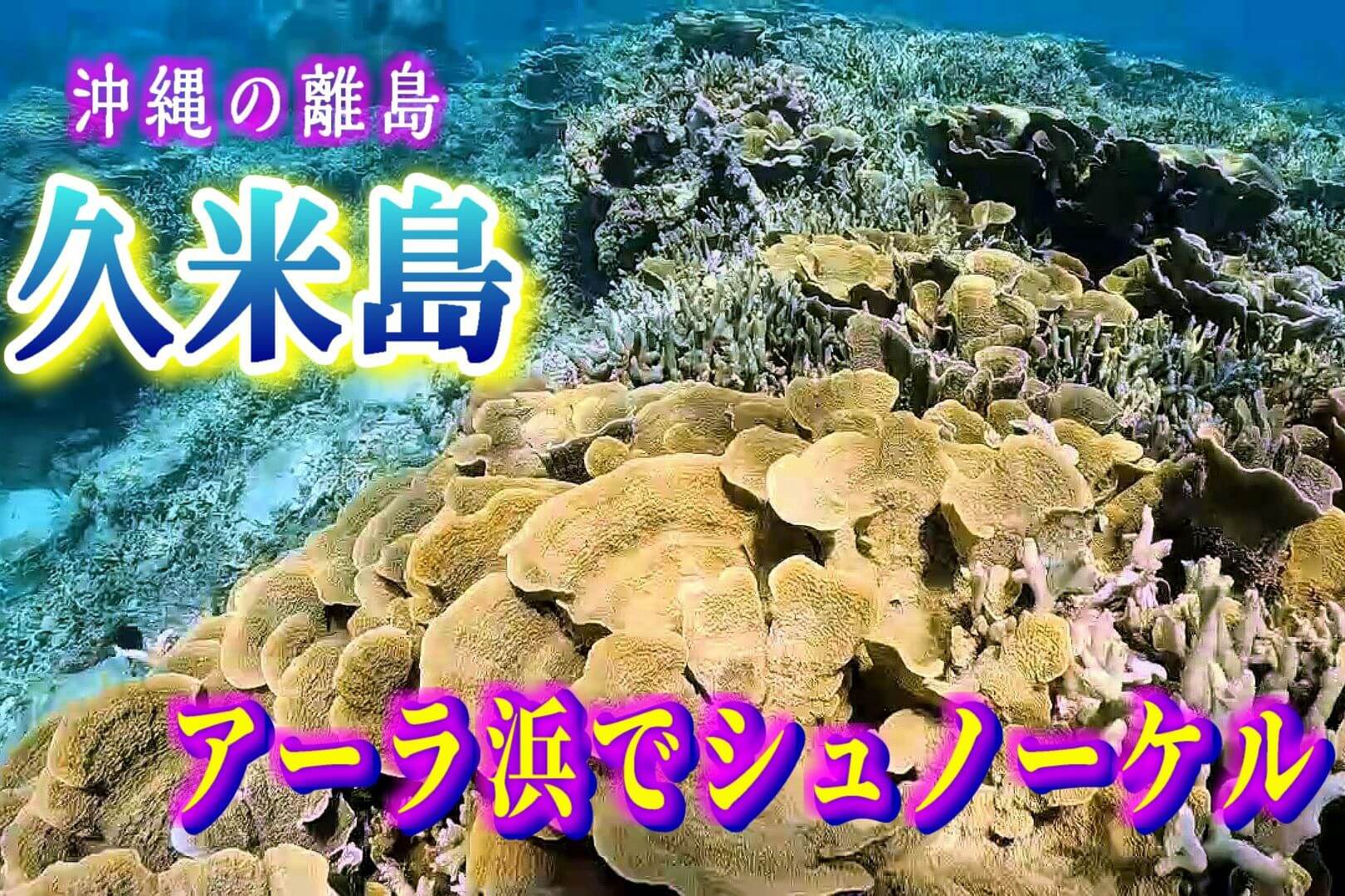 アーラ浜シュノーケル