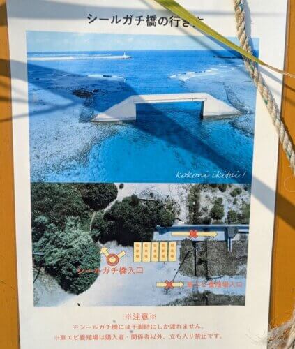 シールガチ橋行き方