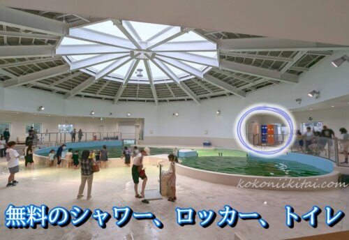 ノアドルフィンドーム
