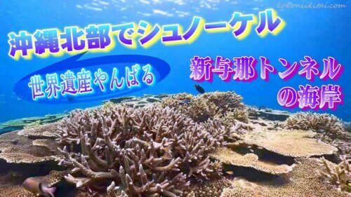 与那